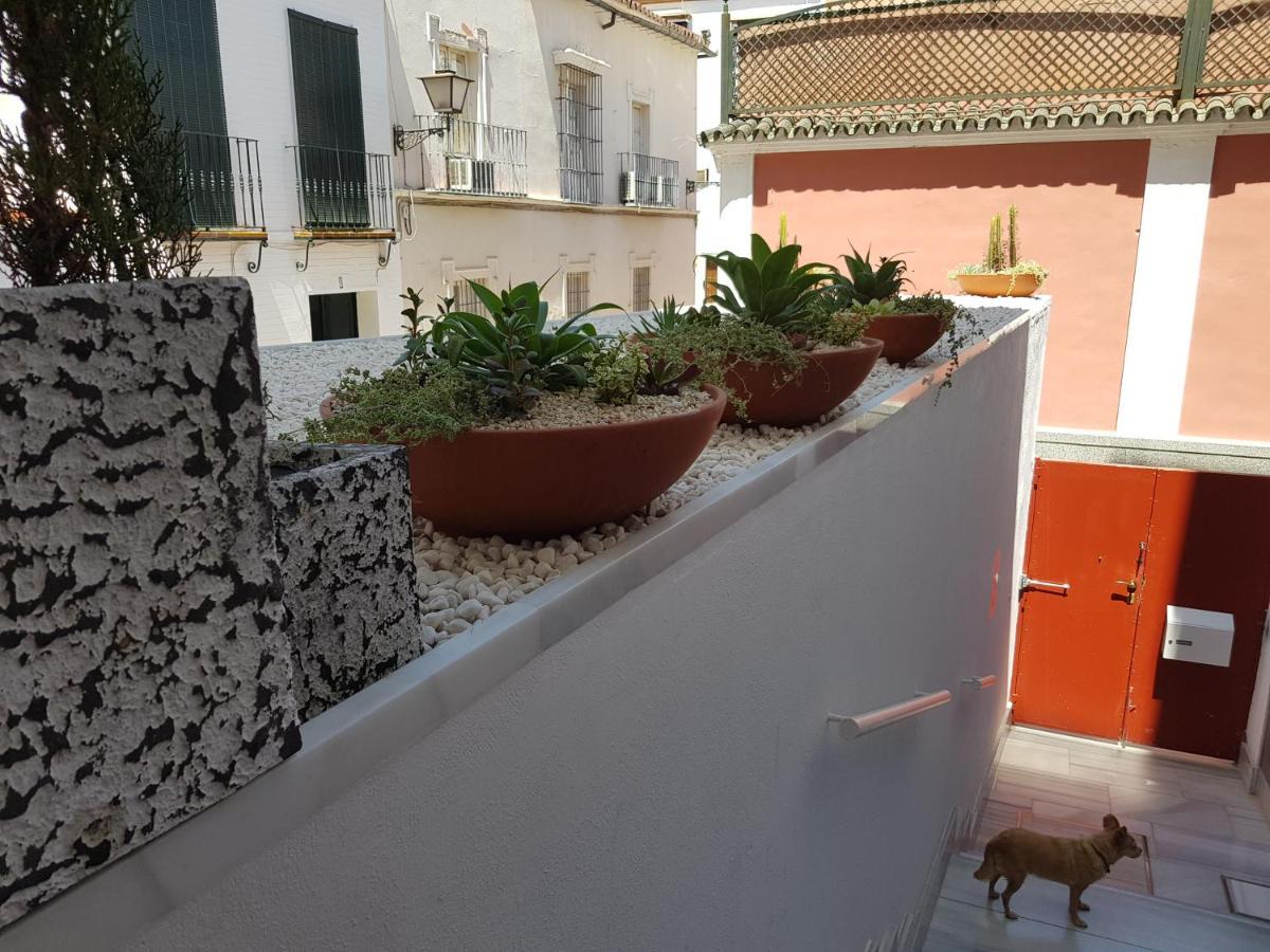 Lolita'S House Alhambra Daire Sevilla Dış mekan fotoğraf